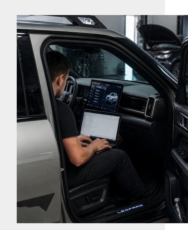 Русификация BYD Leopard 3 в Сосновоборске по цене от 20587 р. | ФастМобиль-Ссб